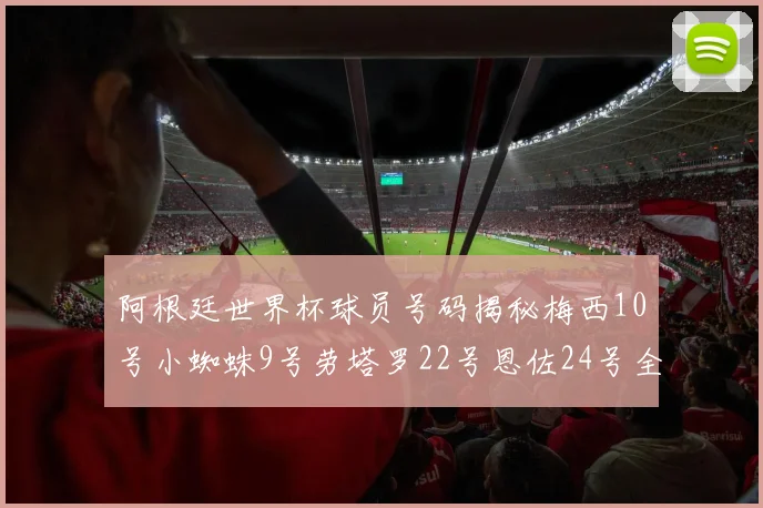 阿根廷世界杯球员号码揭秘梅西10号小蜘蛛9号劳塔罗22号恩佐24号全解析