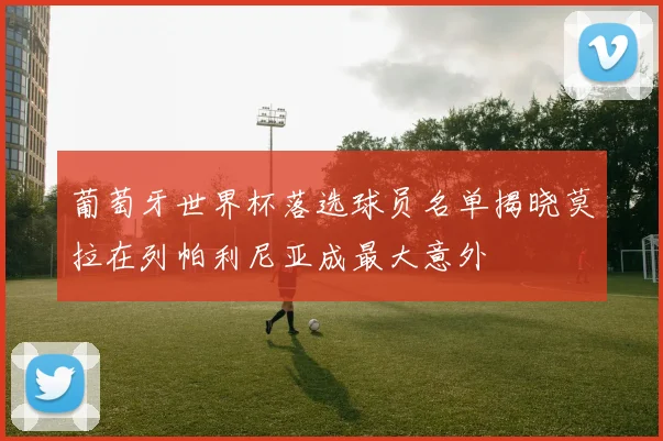 葡萄牙世界杯落选球员名单揭晓莫拉在列帕利尼亚成最大意外